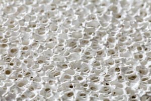 Photocatalytic ceramic foam
